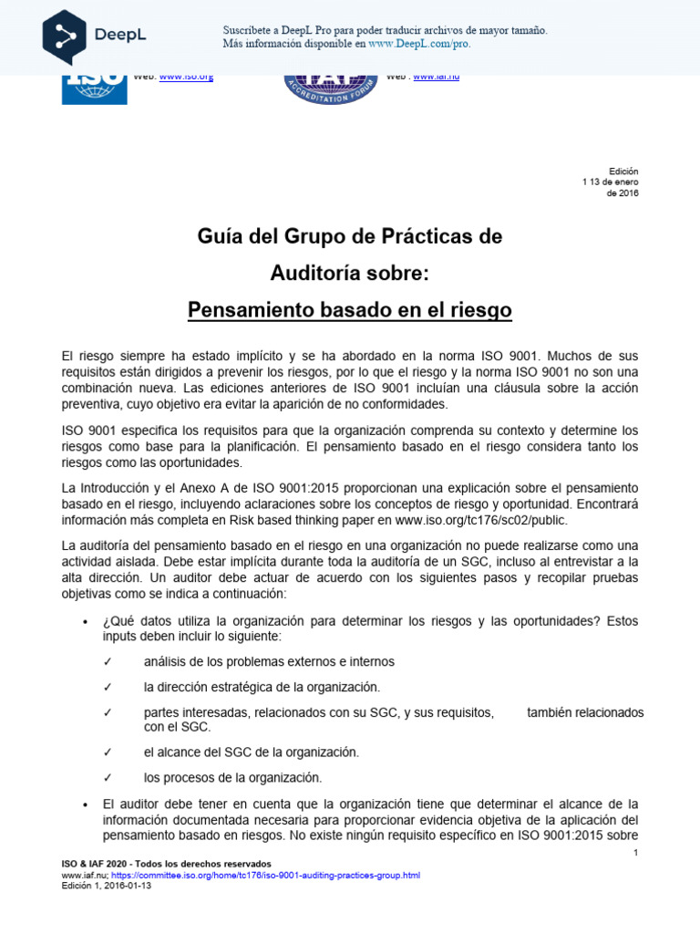 ISO-TC 176-TF - APG-RiskBasedThinking Es | PDF