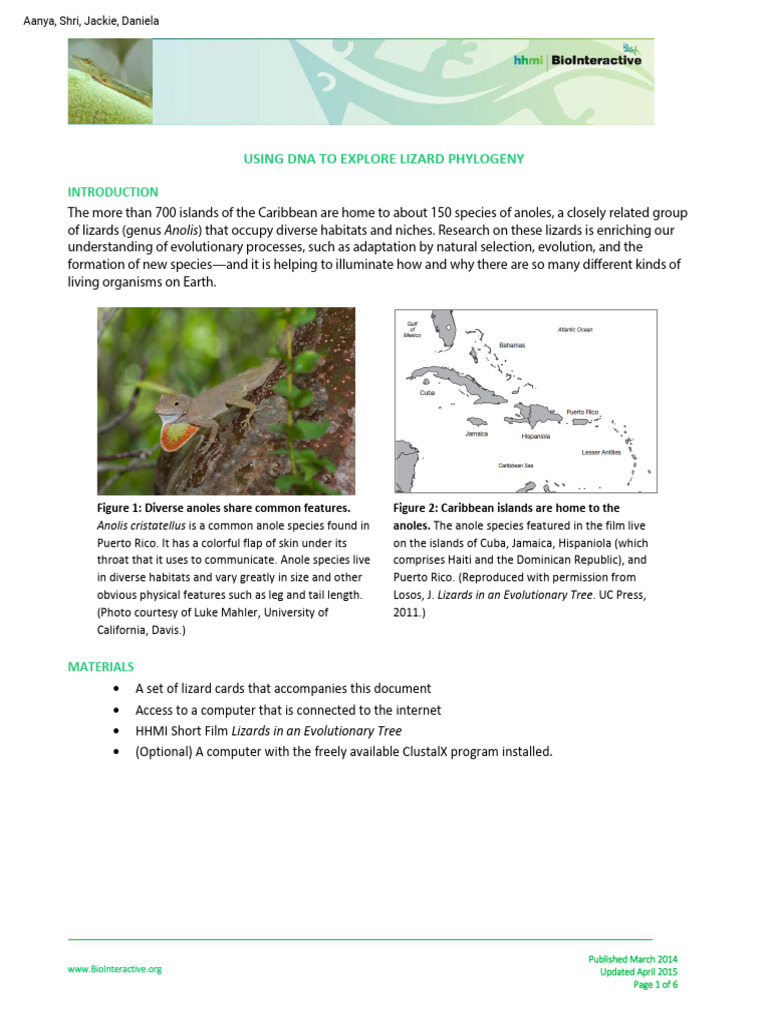 Kami Export - Aanya Patel - Lizard-Phylogeny-Student | PDF