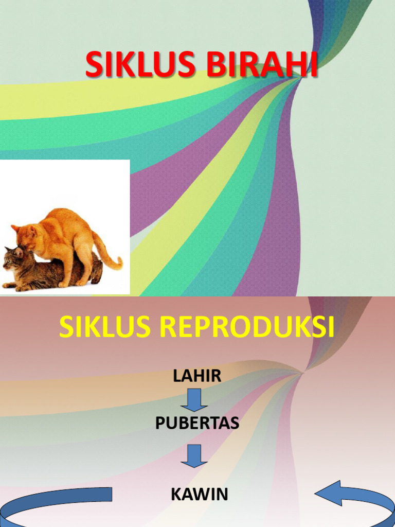 Siklus BIrahi, Swab Vagina, Gertak Birahi | PDF