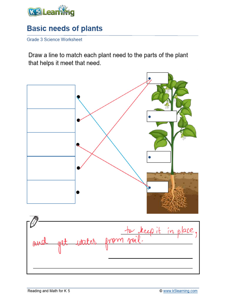Grade 3 Basic Needs A | PDF