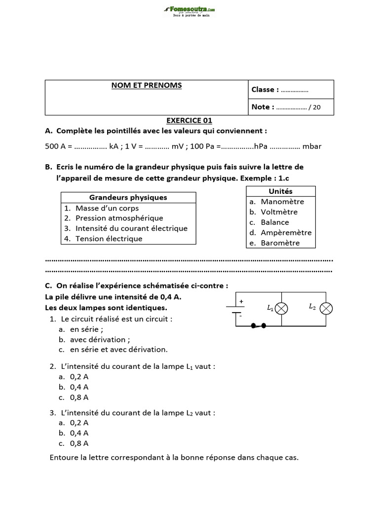 Devoir Theme 2 Mesure de Grandeurs Physiques | PDF