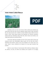 Download Selai Sehat Lidah Buaya by Dgreat Eni SN77348012 doc pdf
