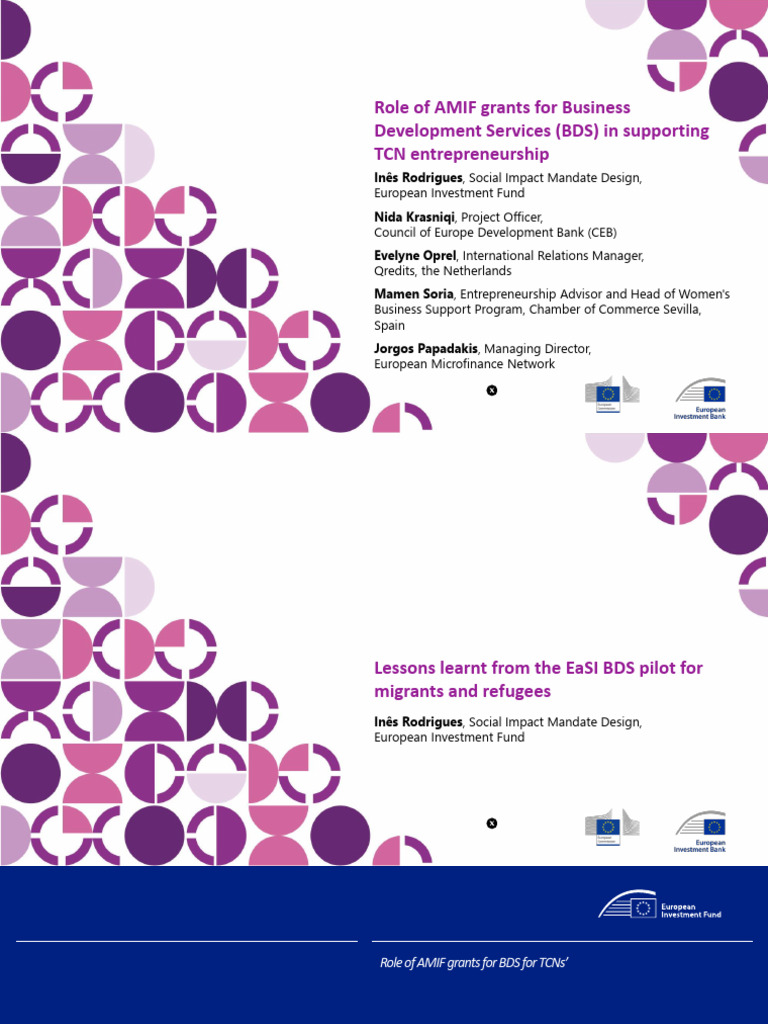 Role of AMIF Grants For Business Development Services (BDS) in ...
