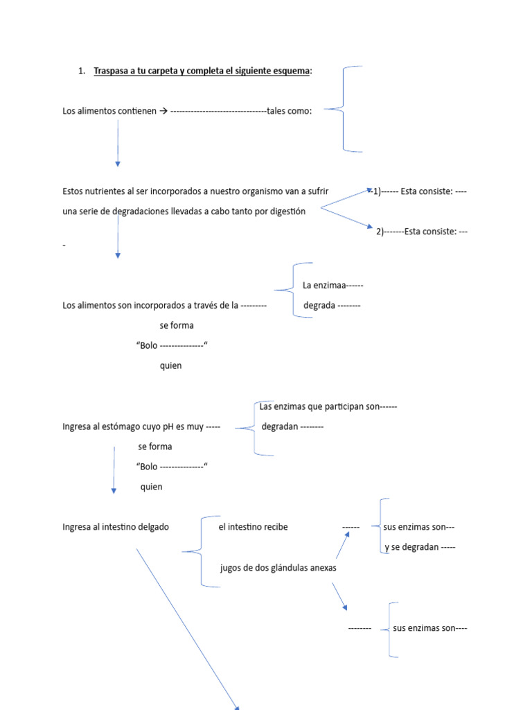 Esquema Digestivo Pdf