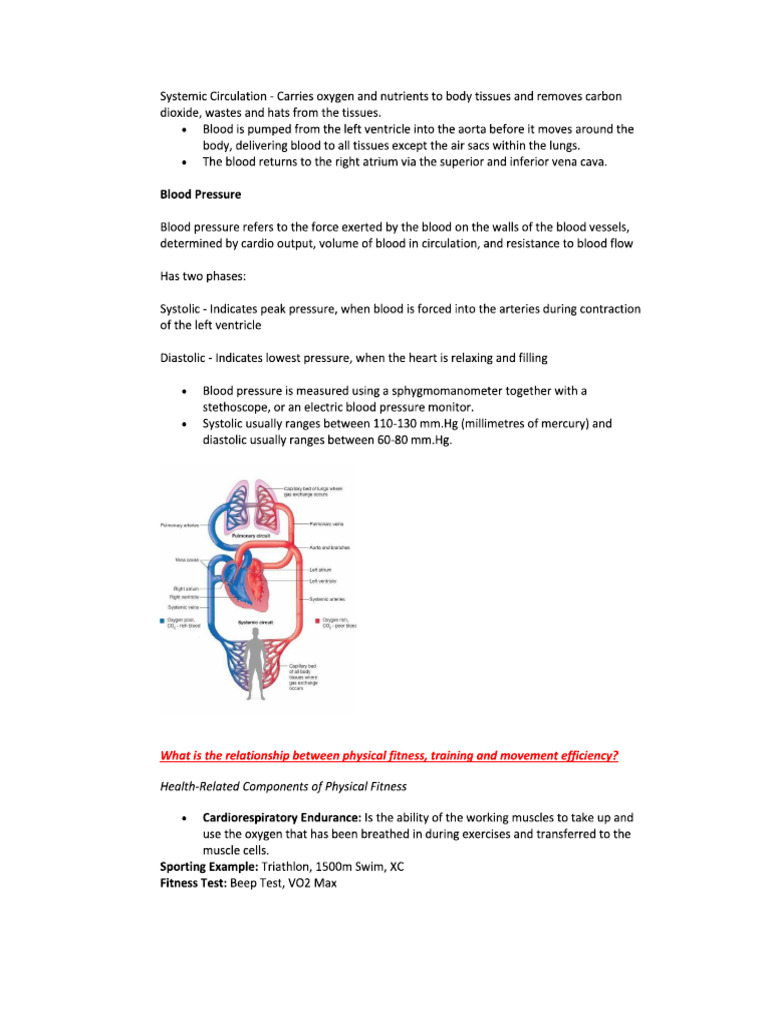 Body in Motion 2 | PDF