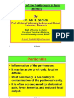 Peritonitis in farm animals by Ali Sadiek الالتهاب البريتوني في حيوانات المزرعة