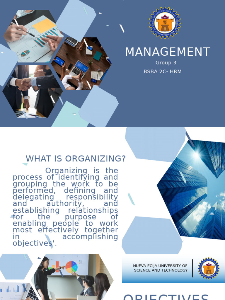 Management | PDF