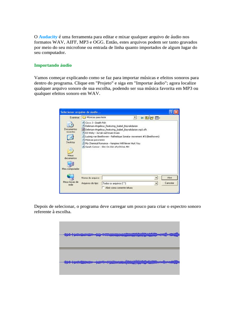 Audacity Pdf