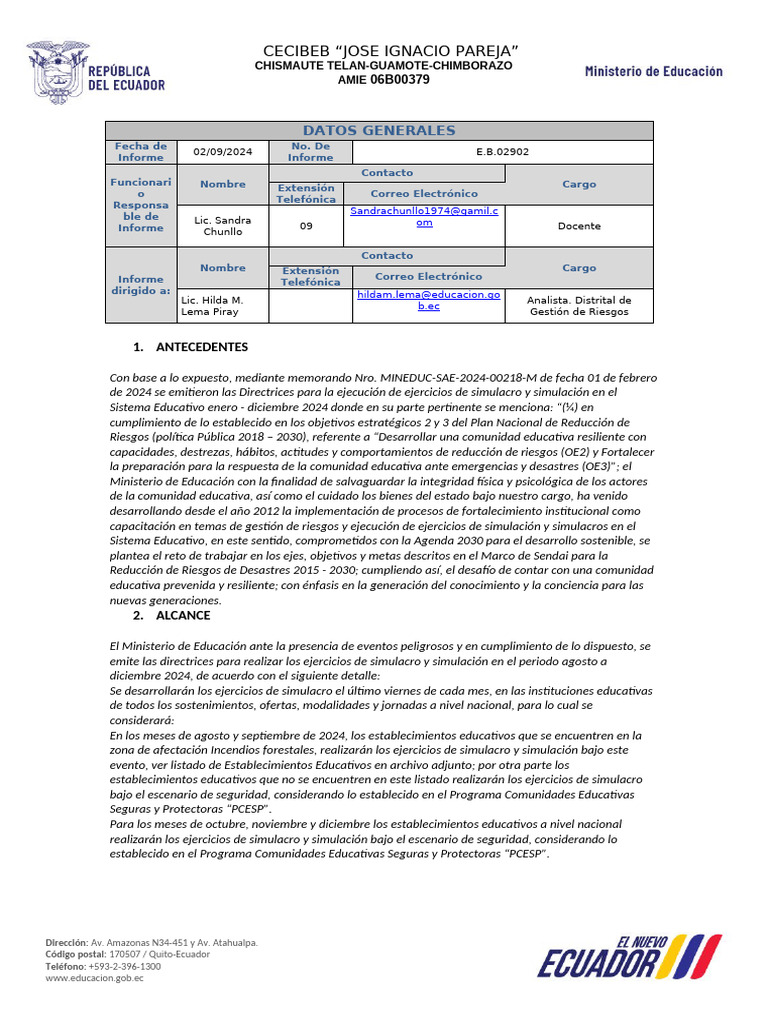 Formato Informe Sim 2024 | PDF
