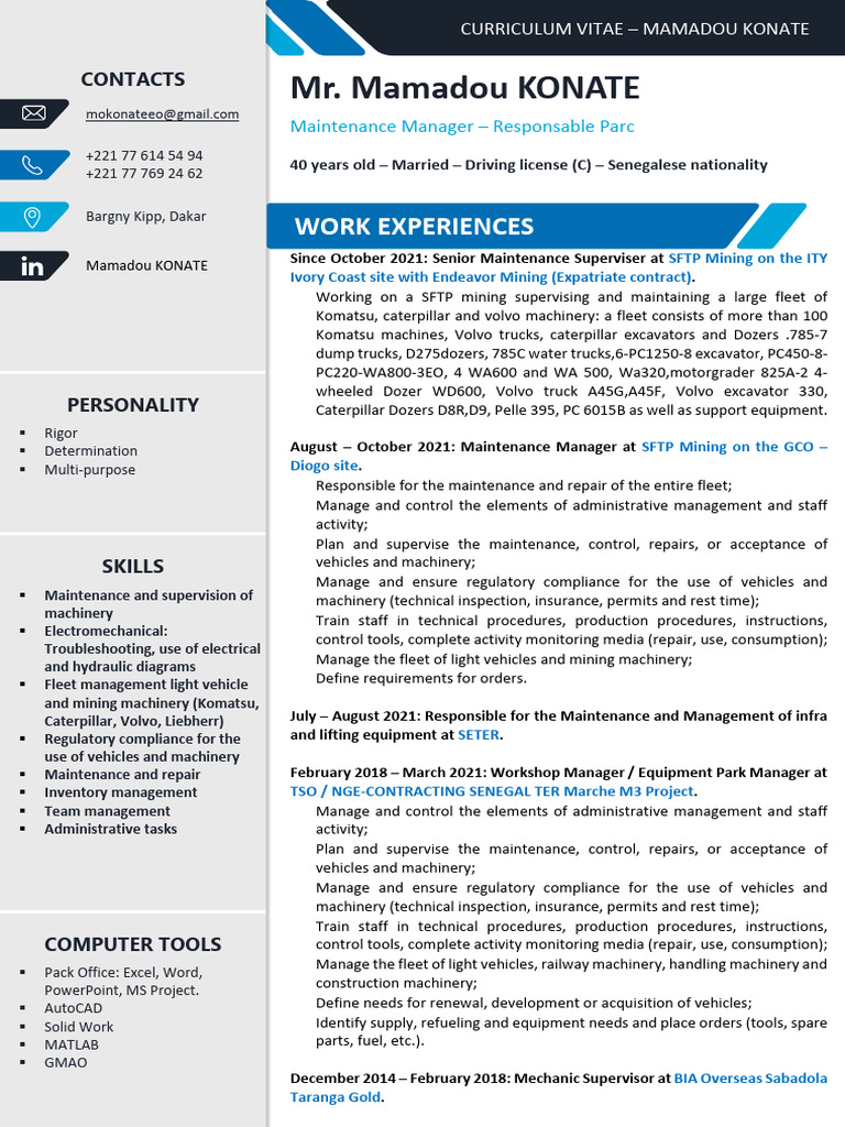 Sample 0001 CV | PDF