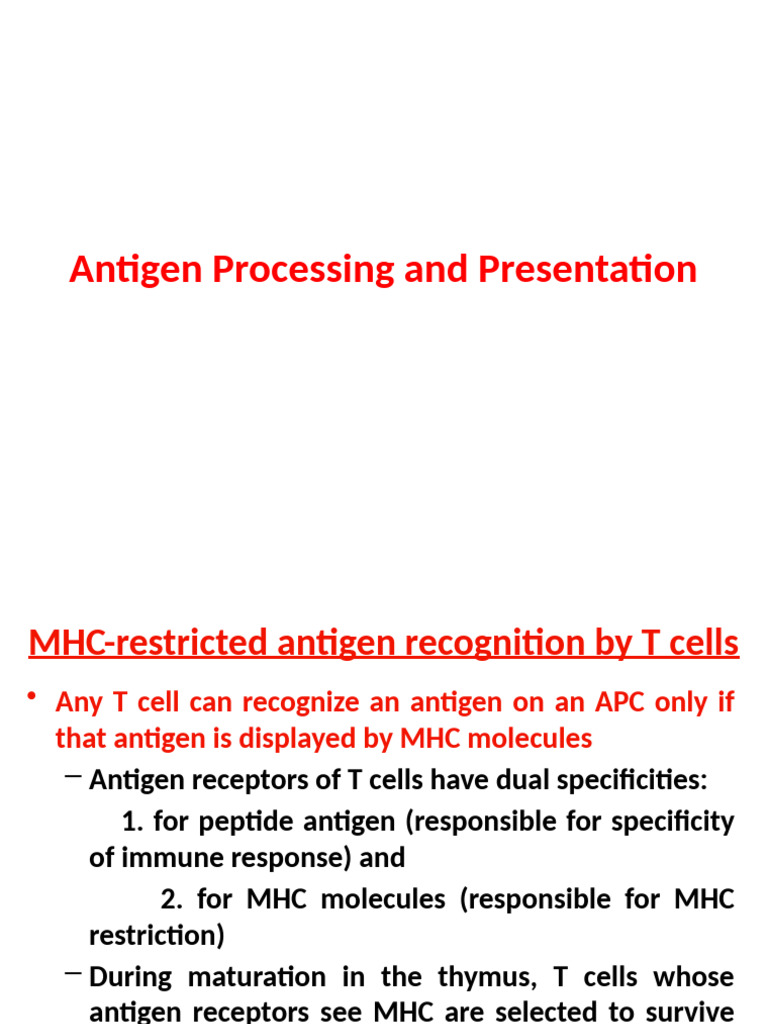 Antigen Processing and Presentation New | PDF