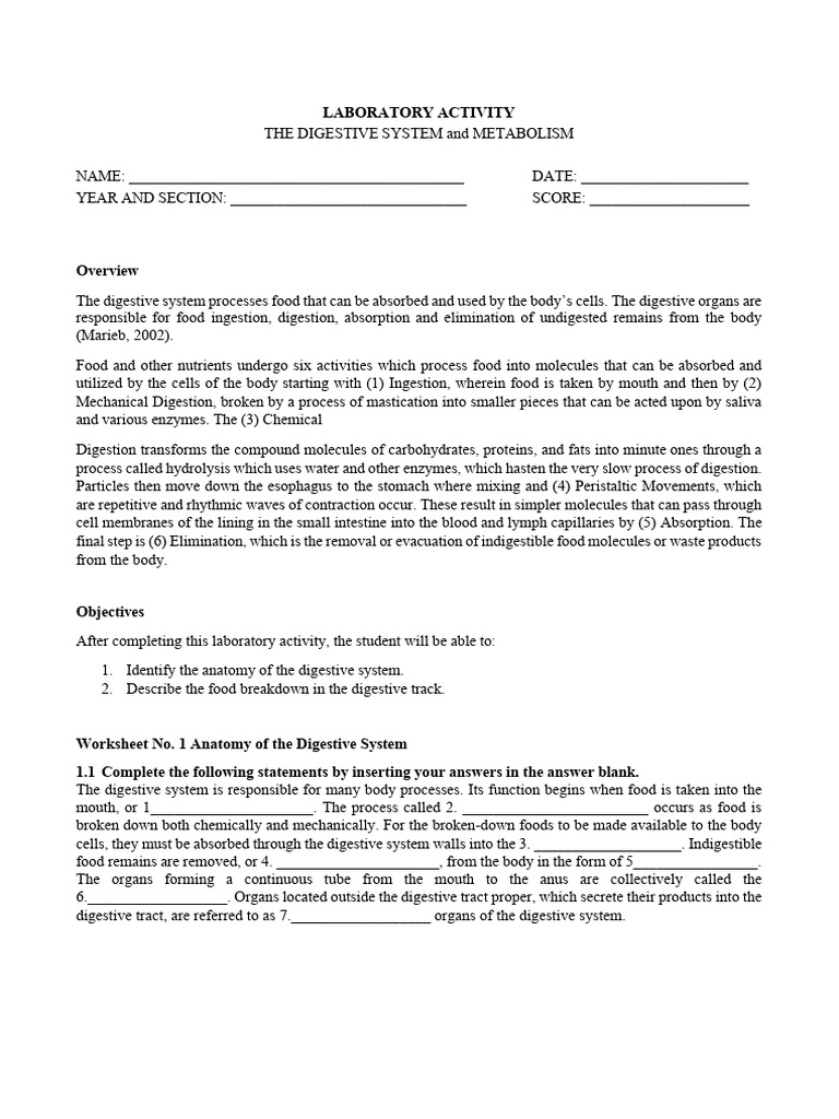 Laboratory Activity Digestive System | PDF