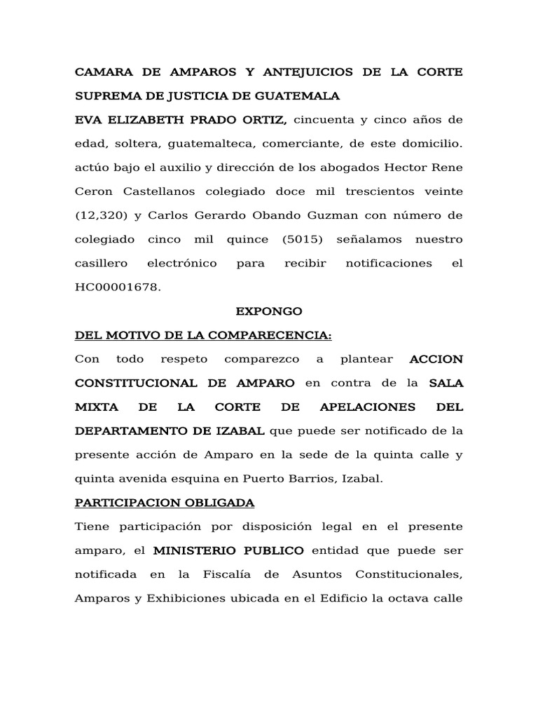 Acción de Amparo en Izabal, Guatemala | PDF | Direito