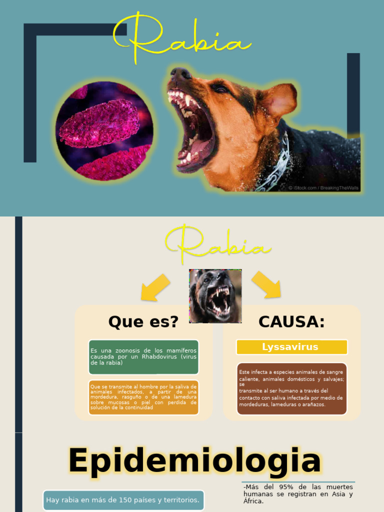 Rabia 1 | PDF