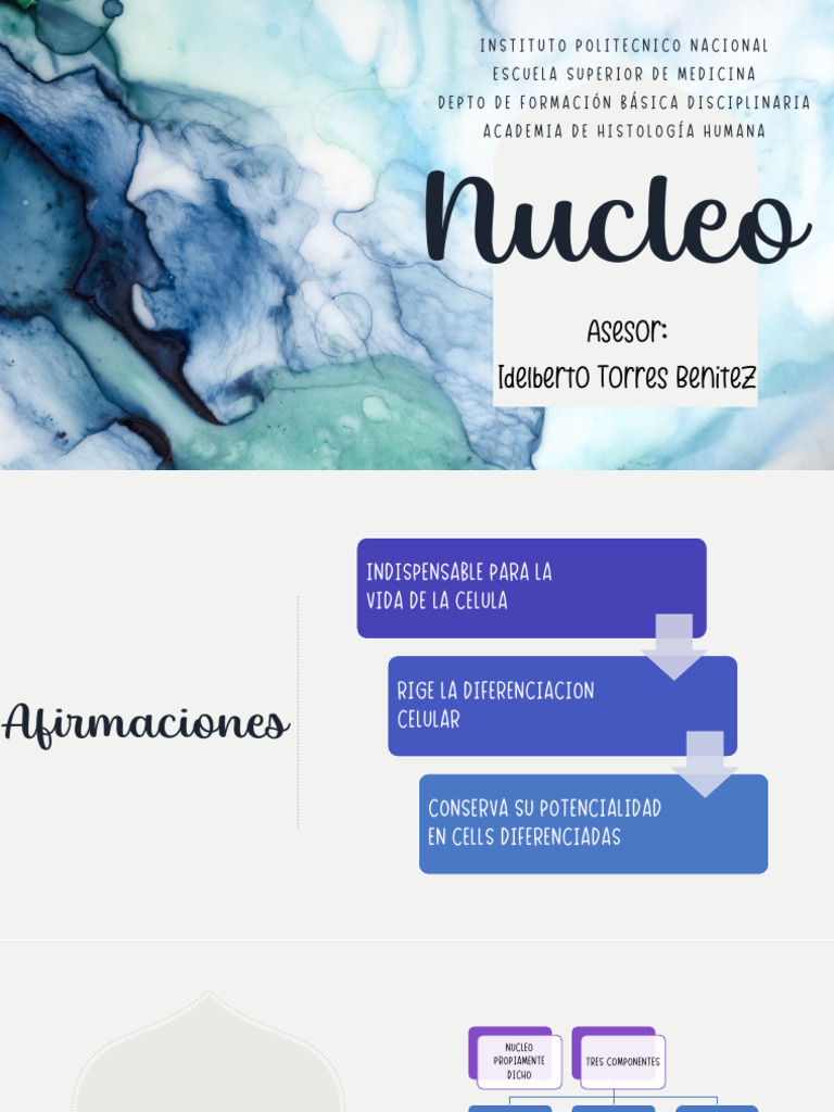 Nucleo Pdf