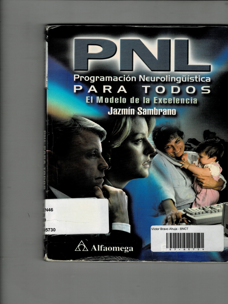 PNL | PDF