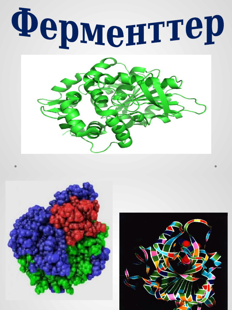 Бен Тен секс ойындары