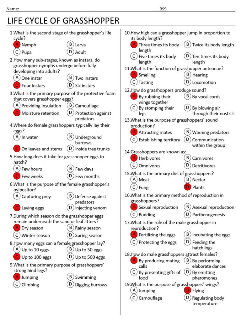 Life Cycle of Grasshopper Assessment | PDF