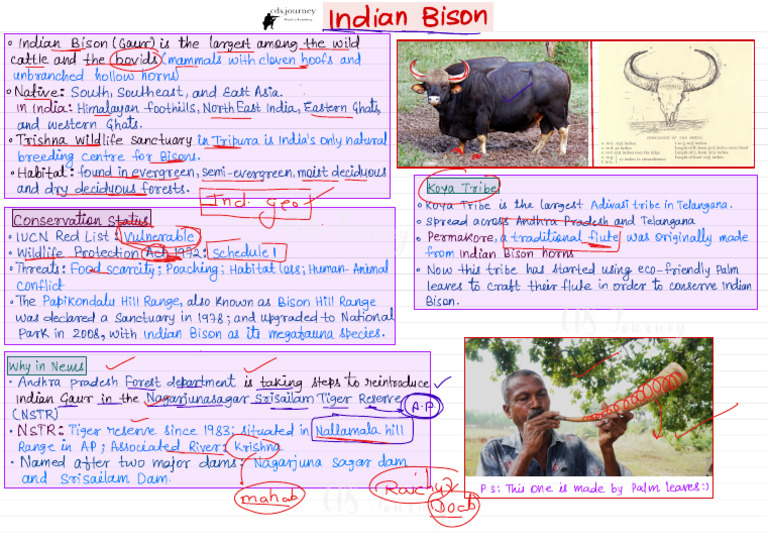 Bison Ji | PDF