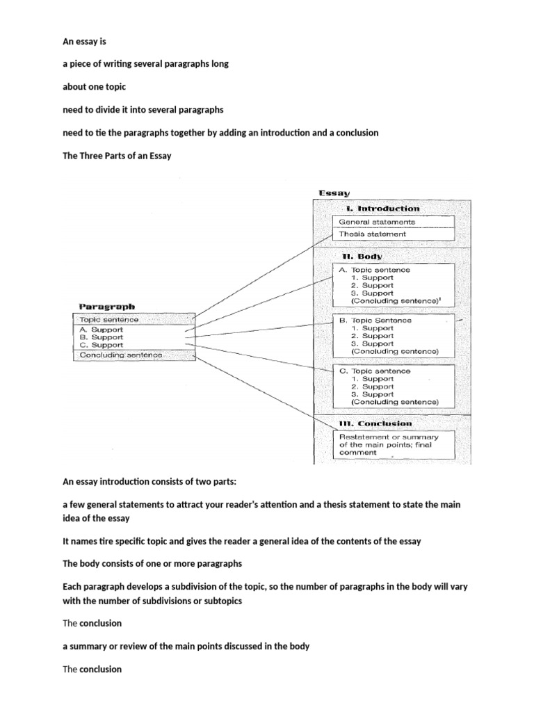 from-paragraph-to-essay-pdf-essays-maize