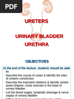 Prehn Sign | PDF | Sexual Anatomy | Male Genital Disorders