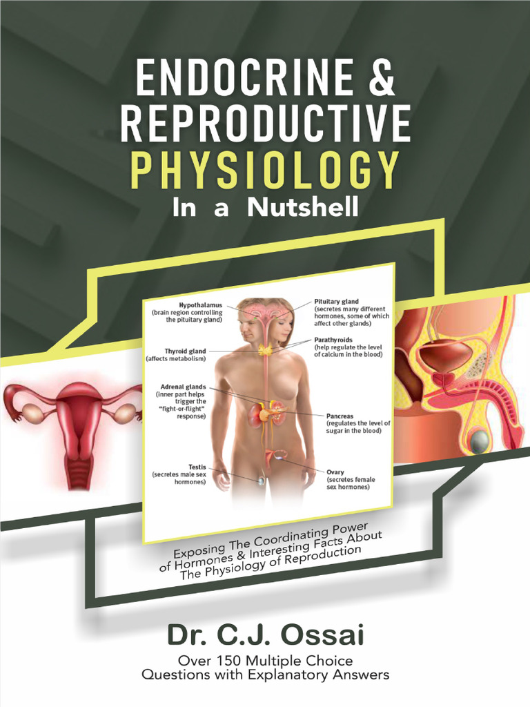 Endocrine & Reproductive Physiology Guide | PDF | Hormone | Science ...