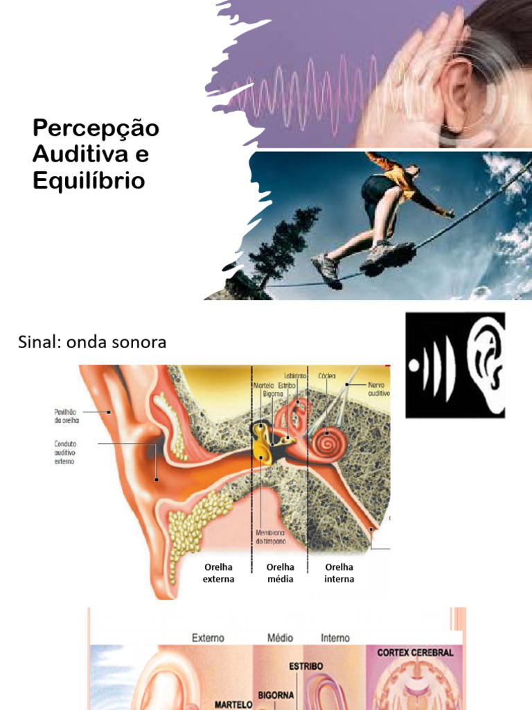 Percepção Auditiva e Equilibrio | PDF