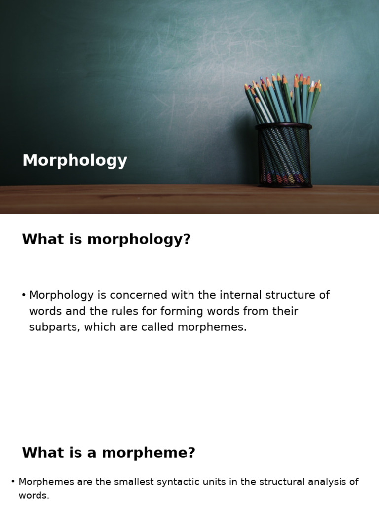 Morphology | PDF