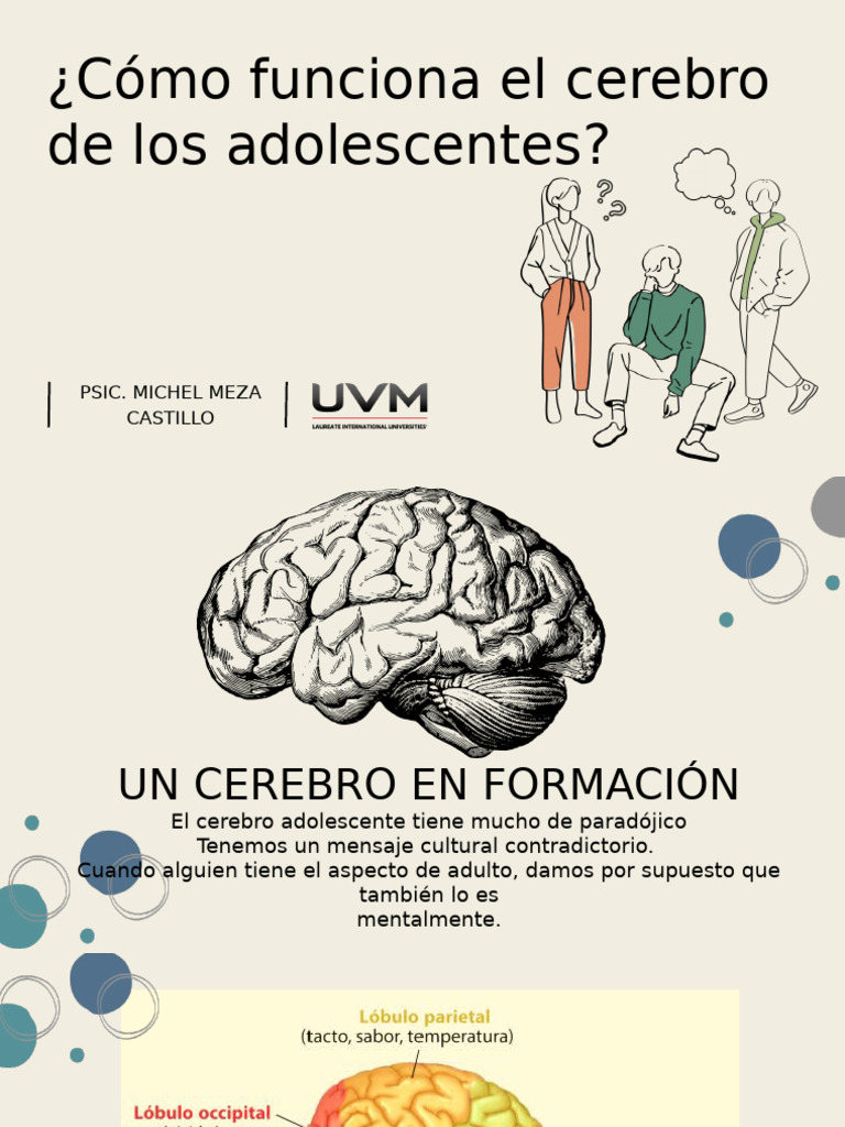 Cómo Funciona El Cerebro Del Adolescente | PDF