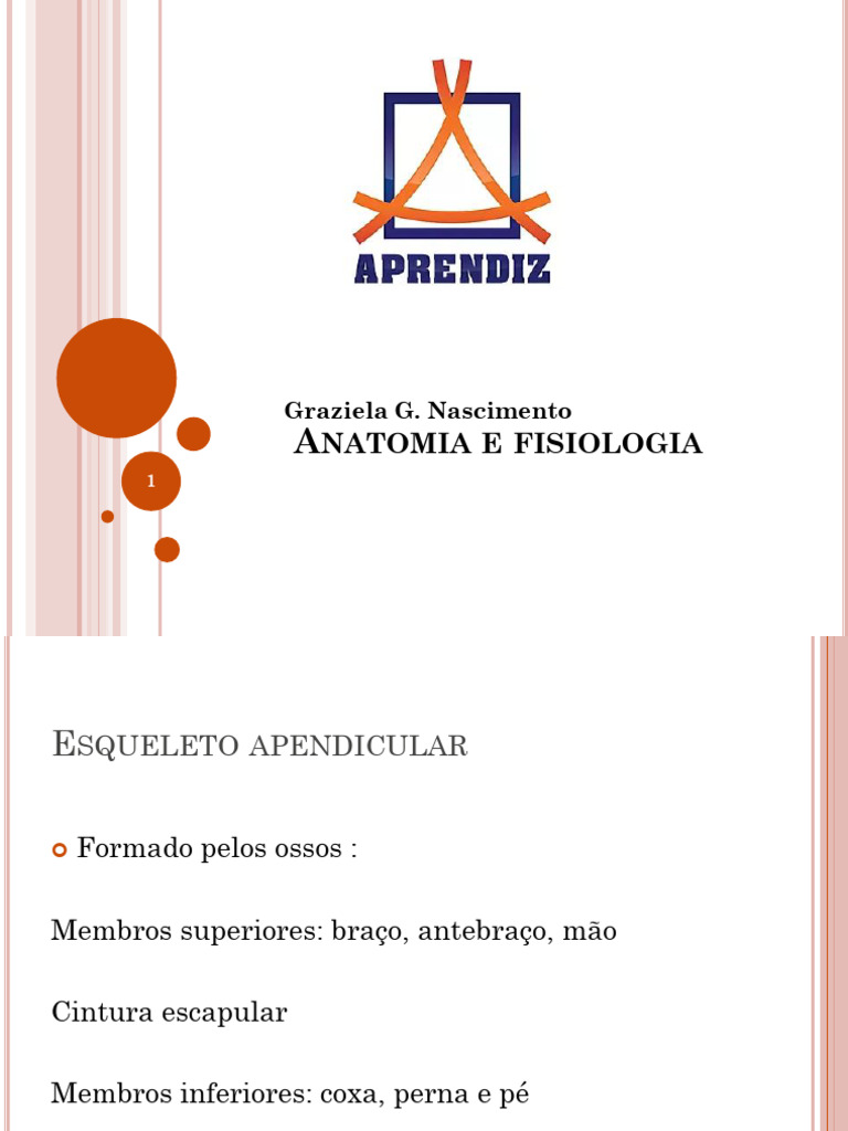 Aula 2 Anatomia Sistema Esqueletico Pdf