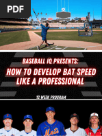 Beginner's Guide to Baseball Basics | PDF | Batting (Baseball ...