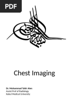 Hilum Overlay Sign in Chest Imaging | PDF