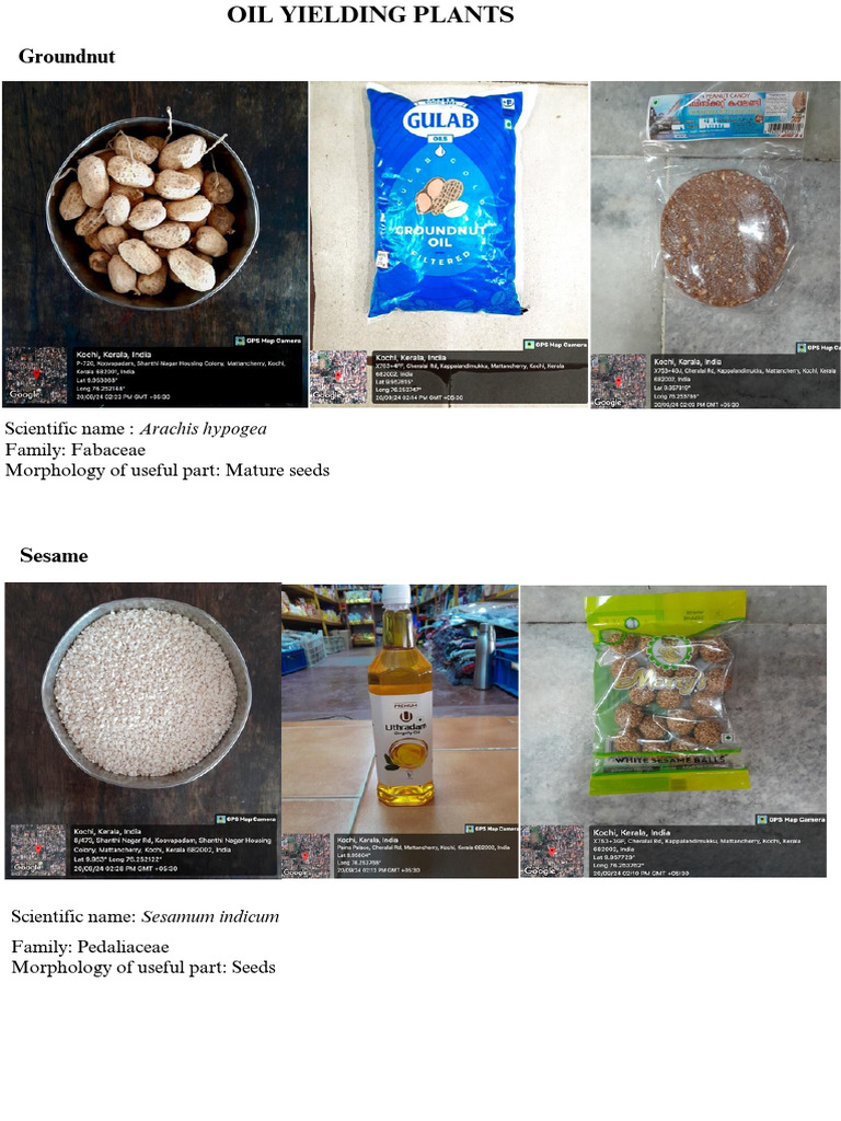 oil yielding plants.pdf_20240926_163133_0000 PDF