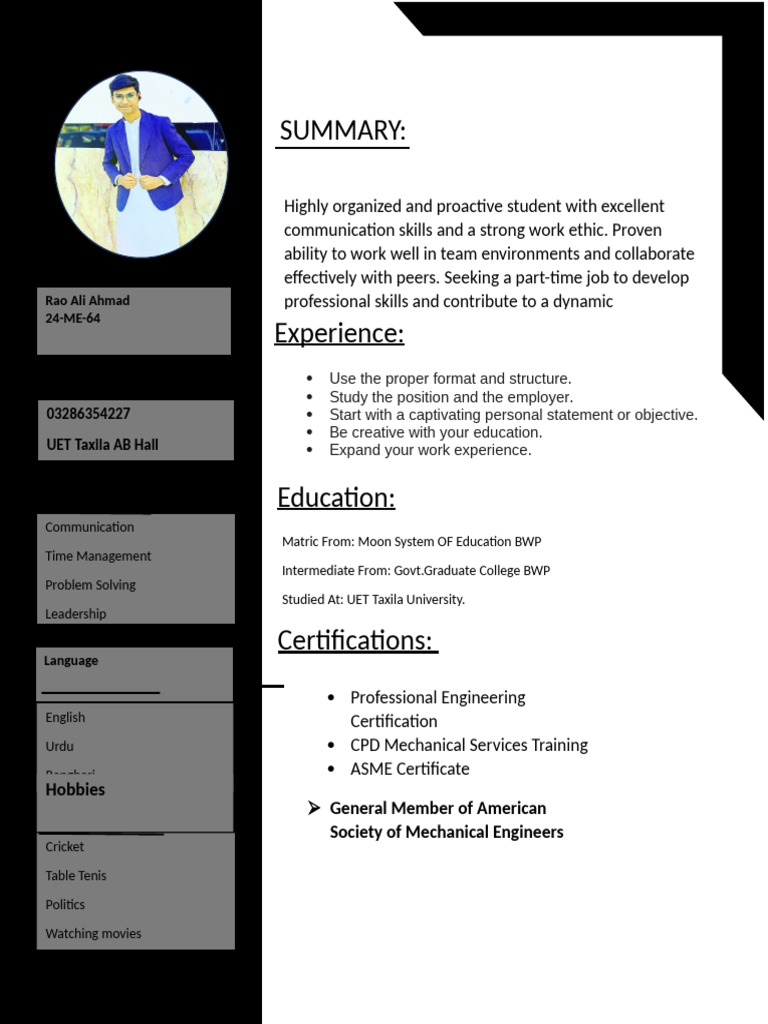 Rao Ahmad's Professional Profile | PDF