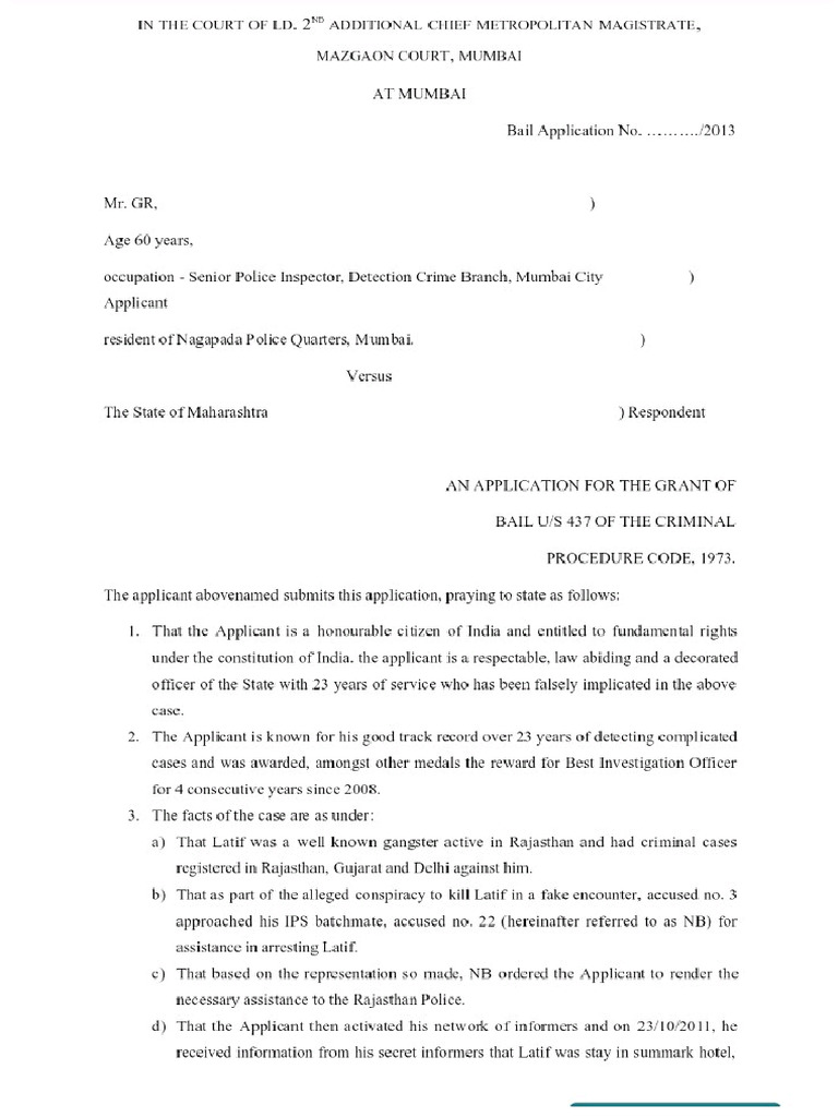 Bail Application | PDF