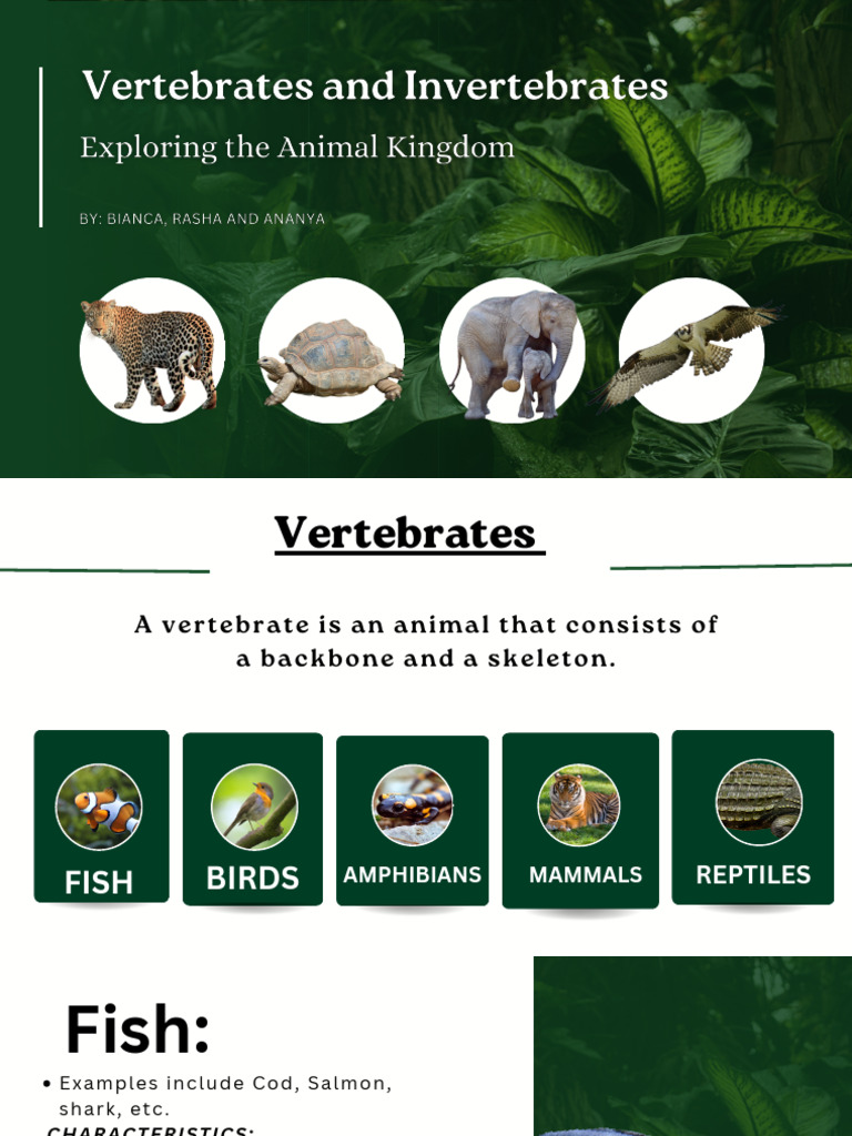 Vertebrates and Invertebrates | PDF