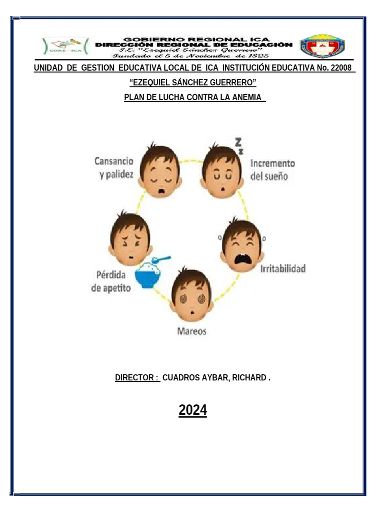 Plan de Trabajo de Lucha Contra La Anemia 23008 | PDF