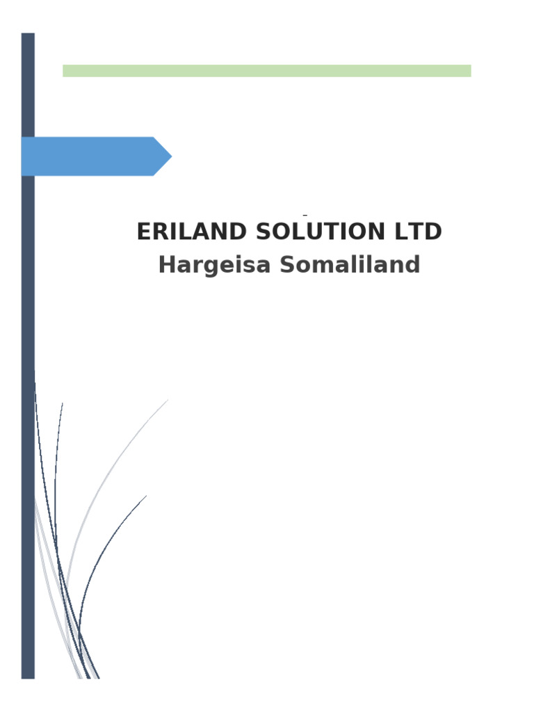 Eriland Solution Ltd: Company Overview | PDF | Finance & Money Management