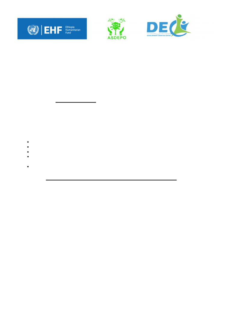 PDM form for WASH NFI 2024 | PDF