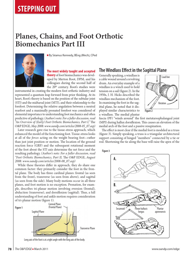Biomechanics PT III | PDF