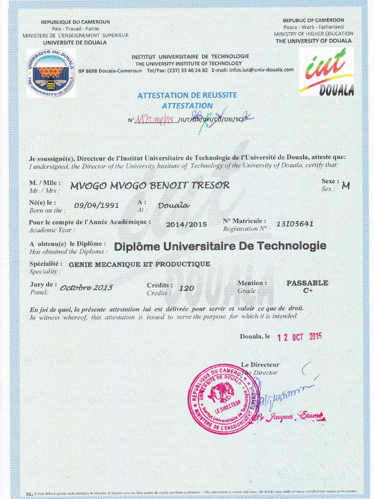 Attestation Dut | PDF
