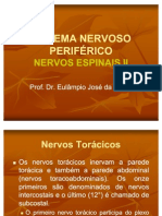 Neuroanatomianervos II