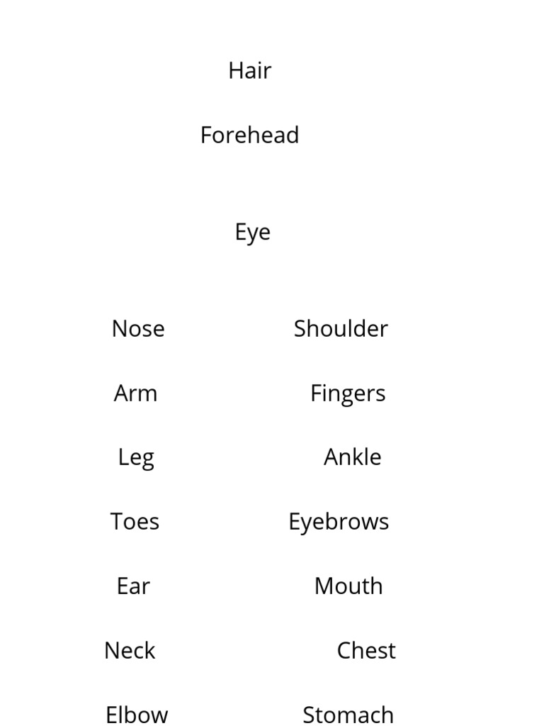 Hair Forehead Eye Nose Shoulder Arm Fingers Leg Ankle Toes Eyebrows Ear