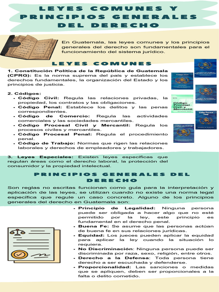 Infografía Leyes y Principios Generales Del Derecho | PDF