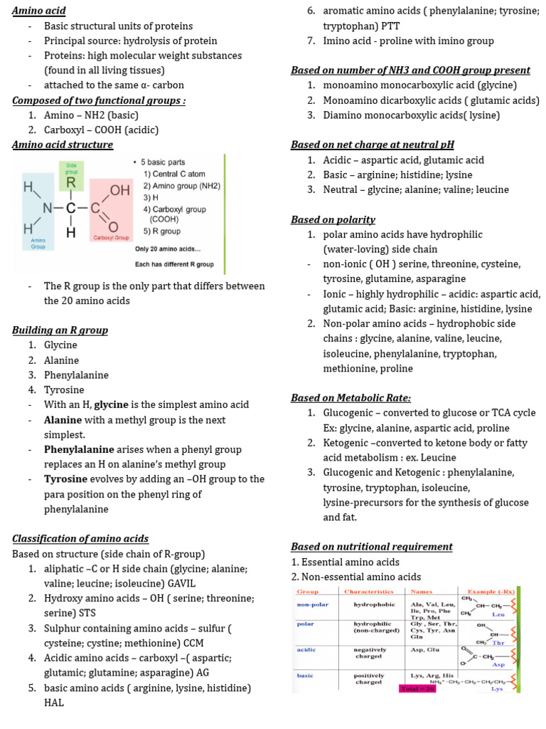 Amino Acids and Proteins | PDF