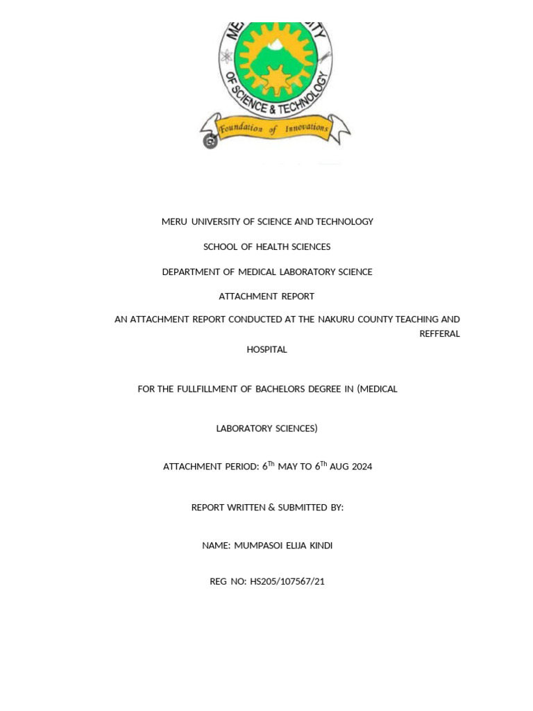 Elija Kindi Attachment Report | PDF