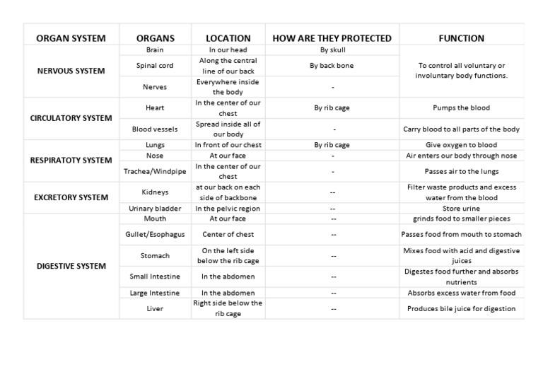Organ Systems Summary | PDF | Human Body | Medical Specialties