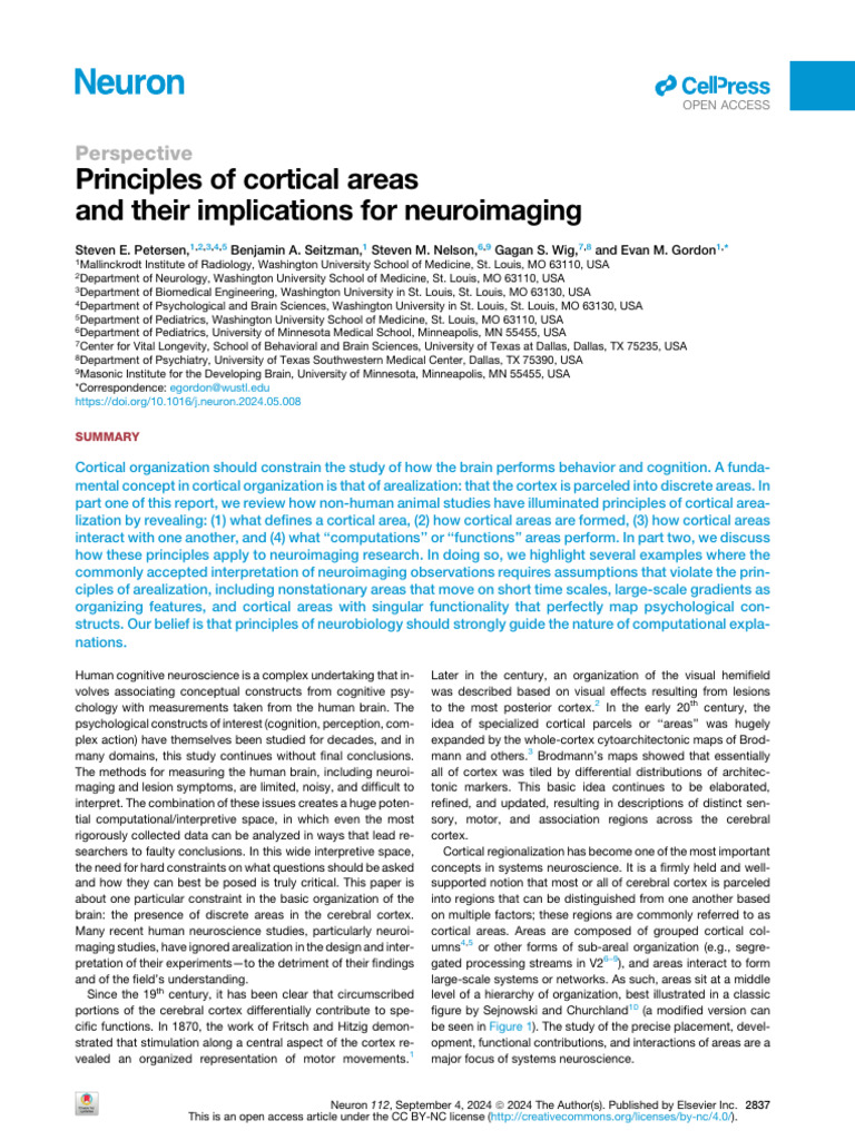 Principles of Cortical Areas and Their Implication | PDF
