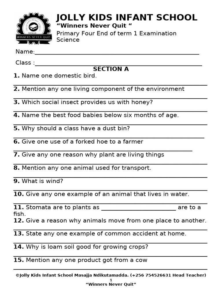 Science p.4 Jolly Kids | PDF