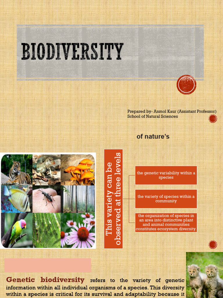 Bio Diversity | PDF